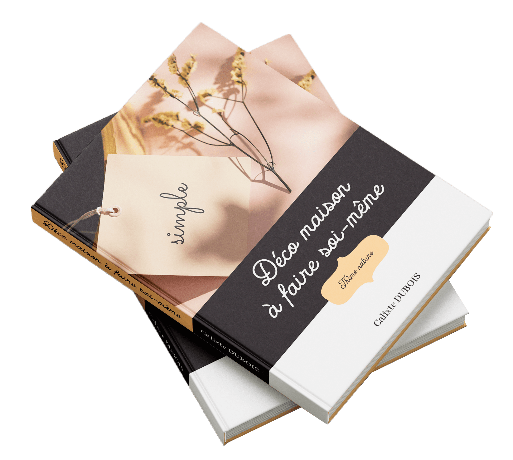Livre-deco-DIY